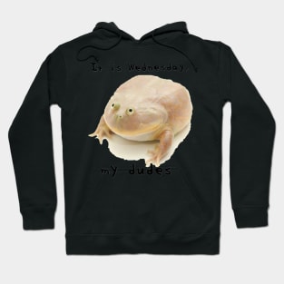 It is Wednesday, My Dudes Hoodie